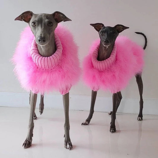 Dog Sweater